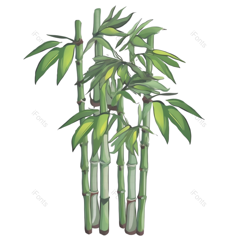 节日图片,中国风元素,插画PNG,竹子免抠素材
